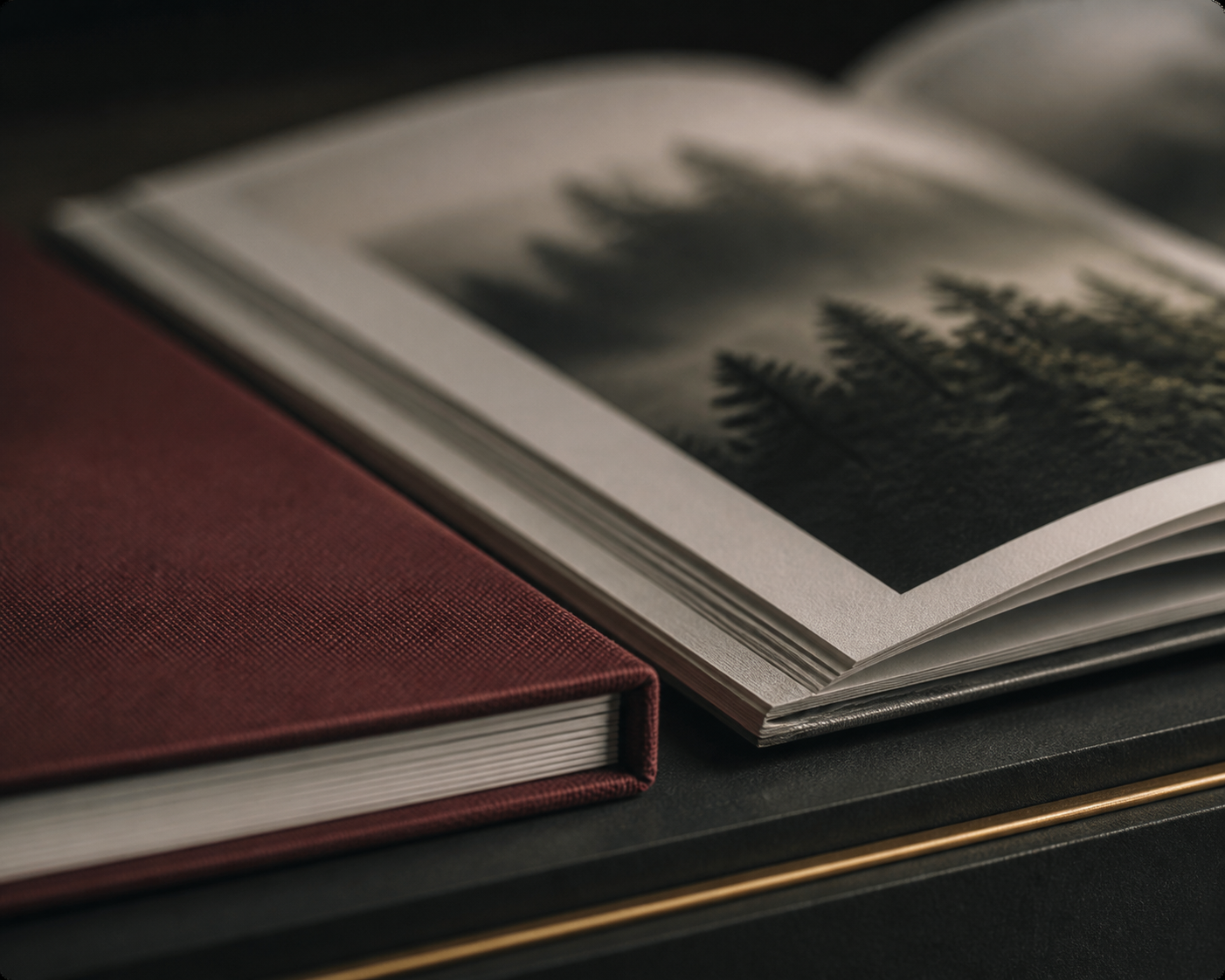 A close-up of a slim photo book and open album with a deep red cover and printed forest imagery.
