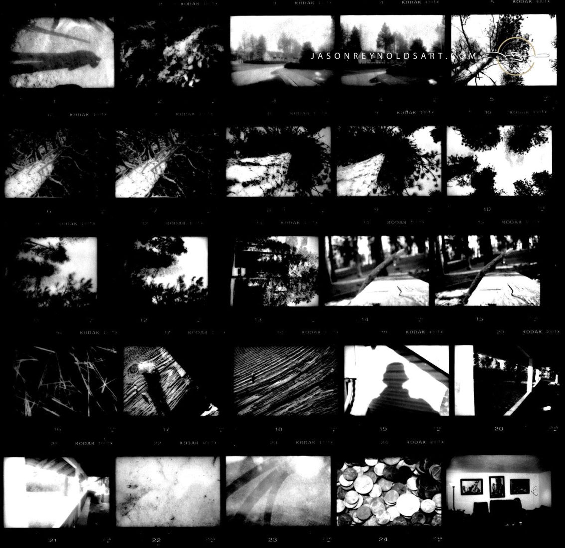 My First Photography Class