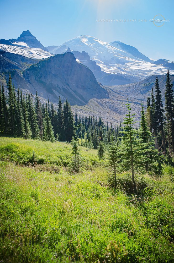 Ashford — Mount Rainier Rising Above an Alpine Meadow