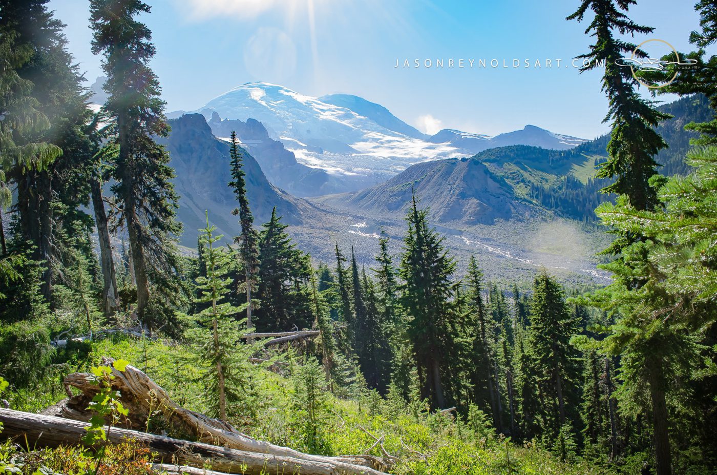 Ashford View — Mount Rainier from Subalpine Forest Vista