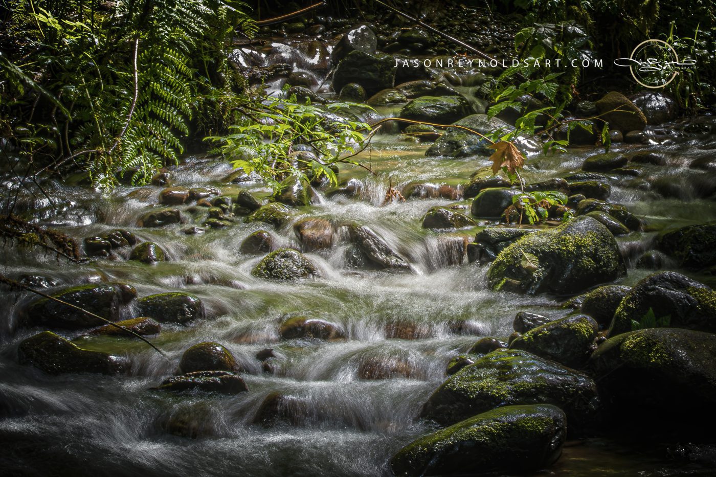 Auburn, WA — Mossy Creek at Flaming Geyser