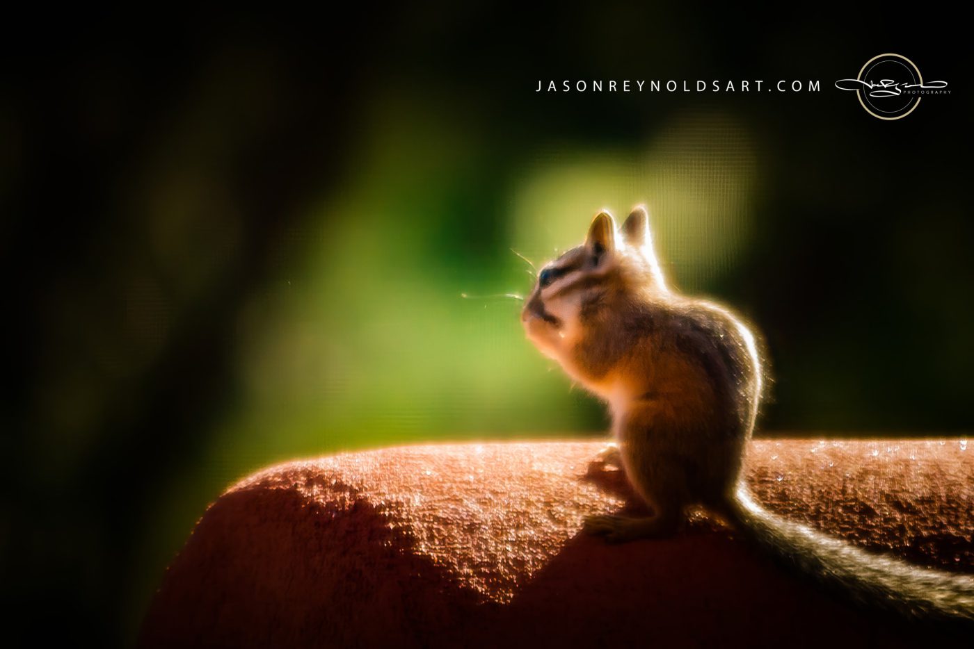 Backlit Chipmunk Perched on Sunlit Masonry Ledge