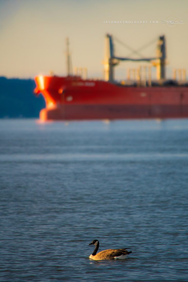 Canada Goose and Cargo Freighter, Tacoma