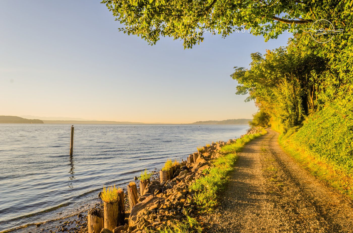 Des Moines Shoreline at Woodmont Beach