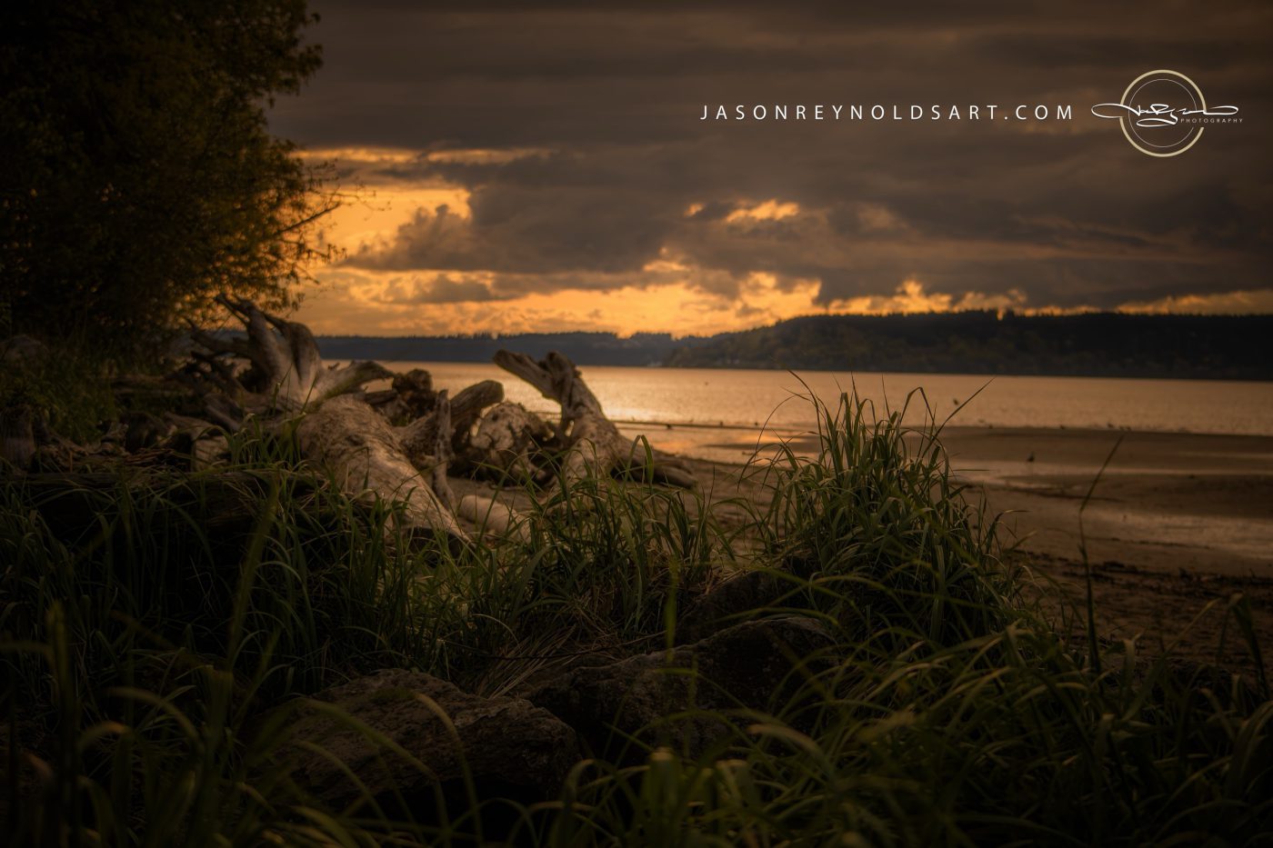 Driftwood on the Shoreline, Federal Way