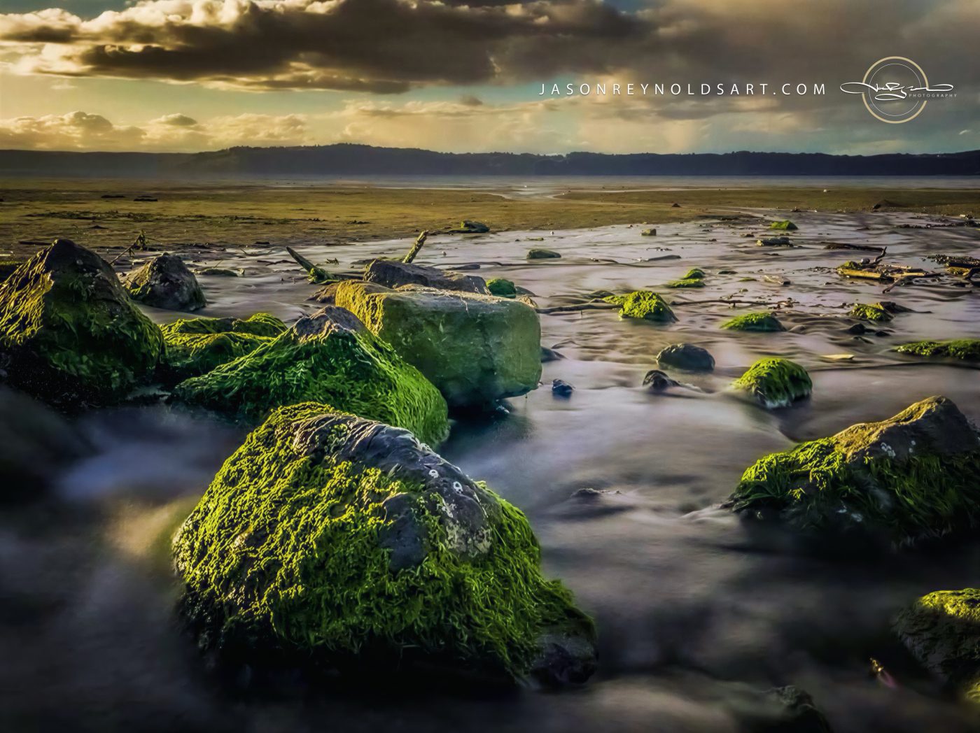 Federal Way — Moss-Covered Rocks on a Tidal Flat