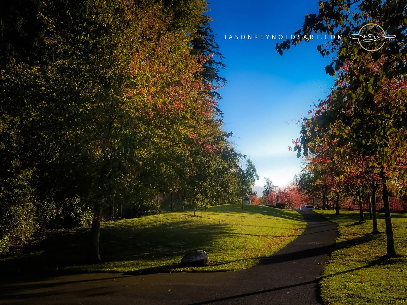 Federal Way Park Path in Autumn Light