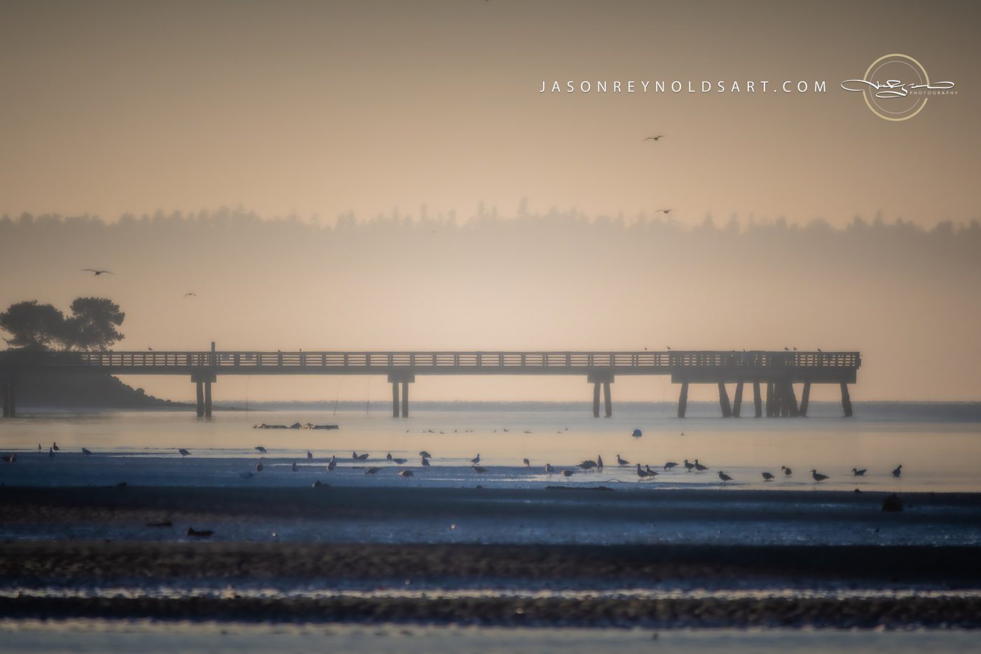 Federal Way Pier Silhouette — Soft Morning Light and Shorebirds