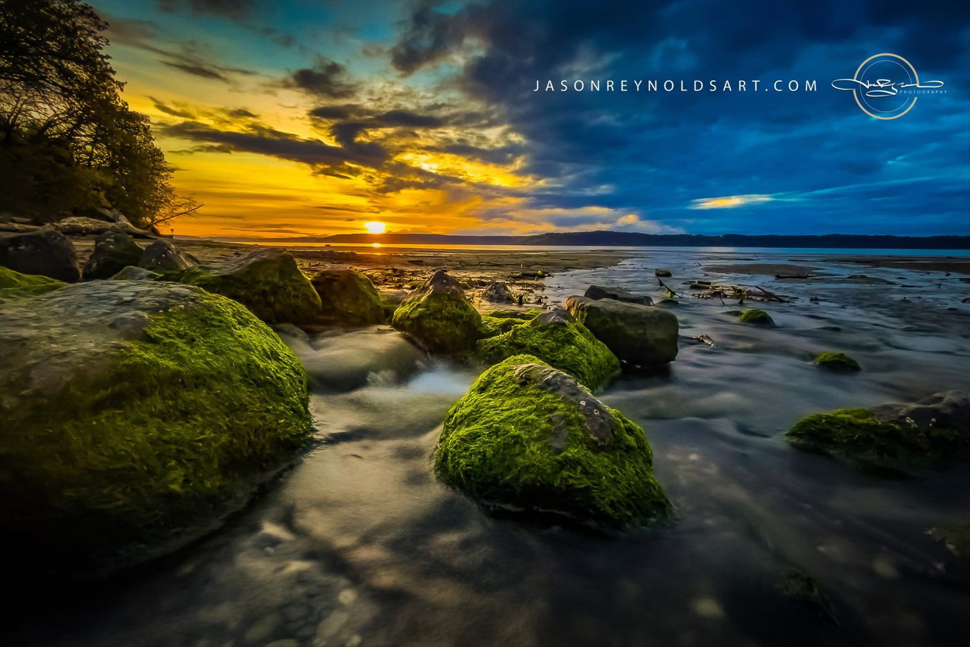 Federal Way Shoreline and Moss-Covered Rocks at Sunset