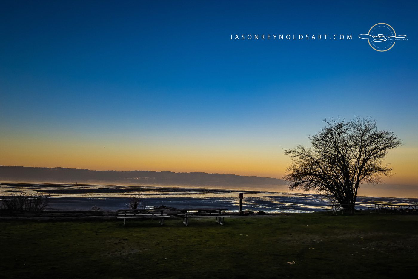 Federal Way shoreline sunrise with tree silhouette