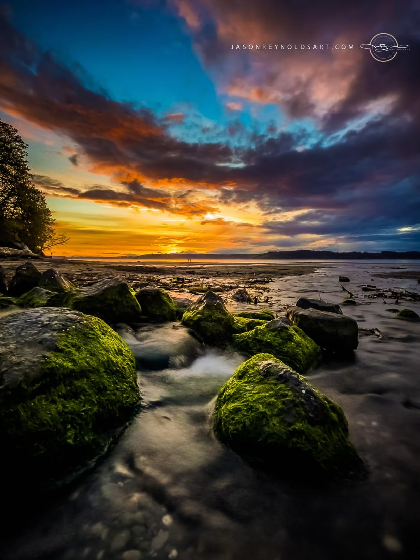 Federal Way shoreline with moss-covered rocks at sunset