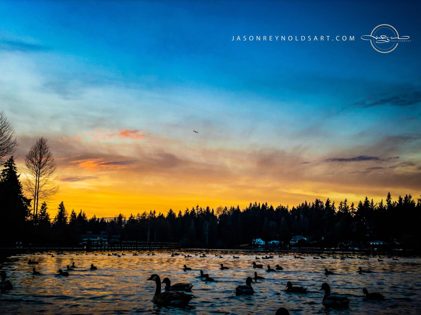 Federal Way — Sunrise Over Steel Lake