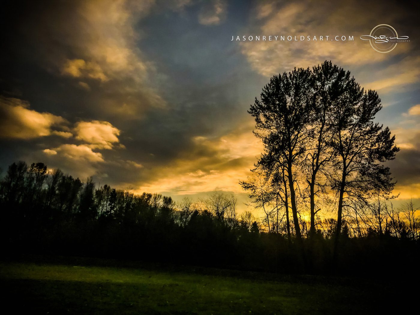 Federal Way Sunset Silhouette