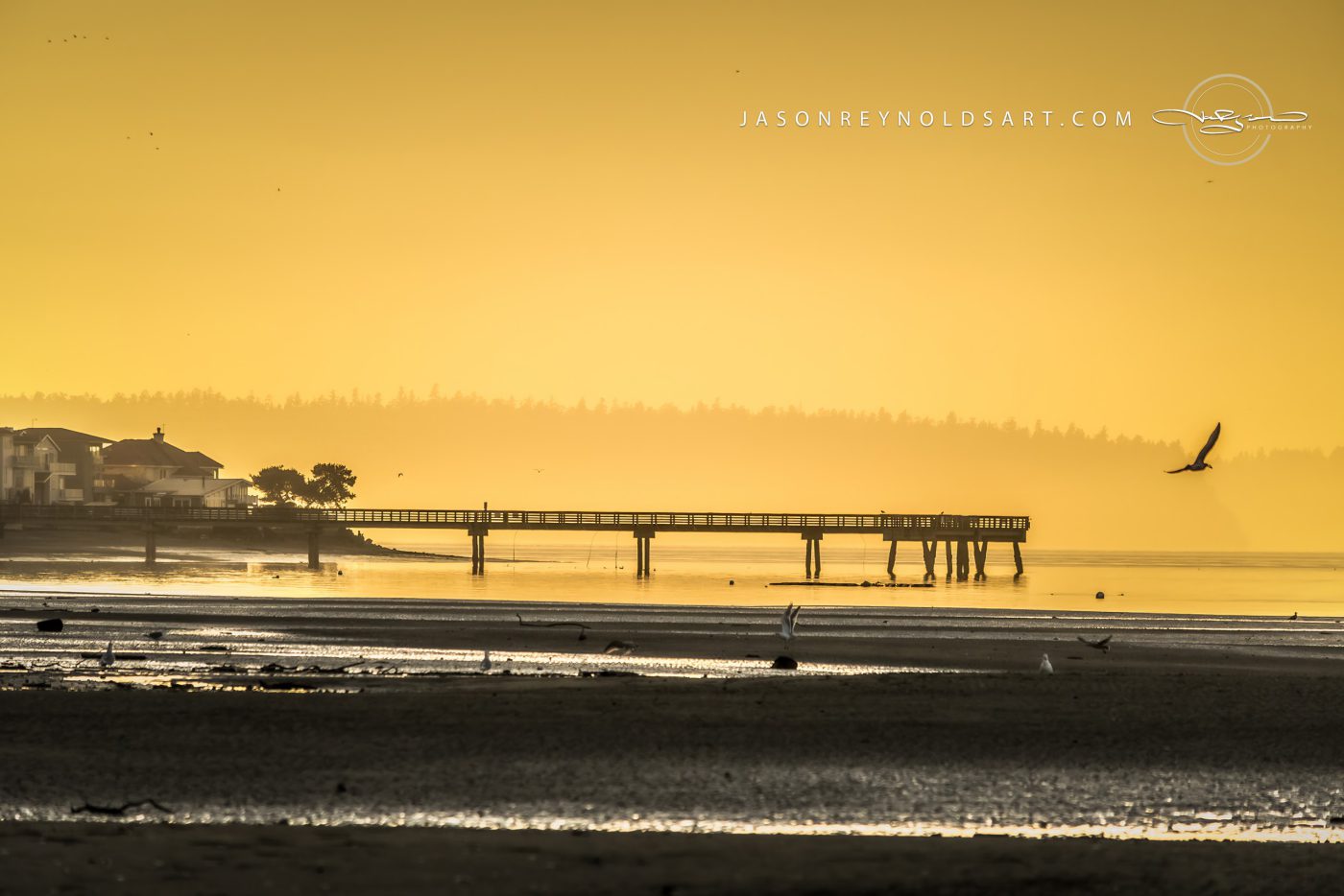 Golden Morning at Dash Point Pier — Federal Way