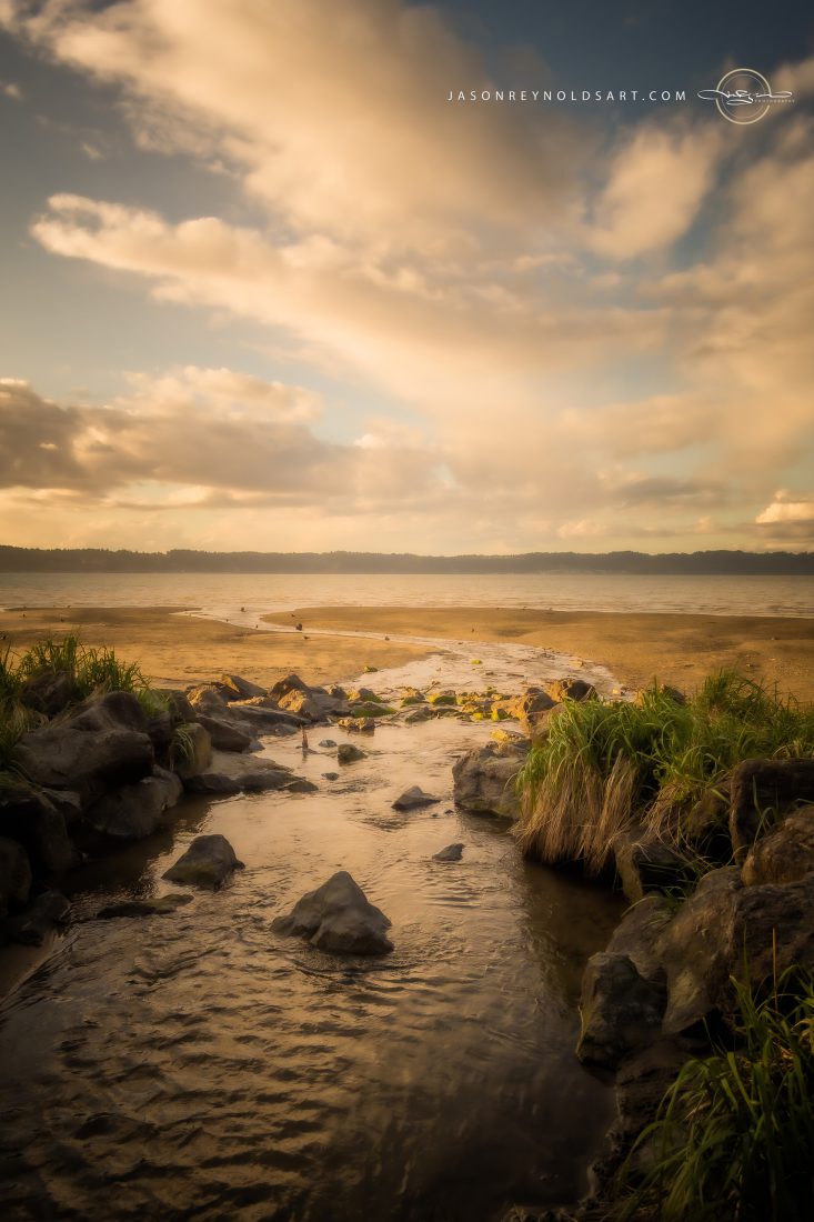 Golden Tidal Channel at Dash Point — Federal Way