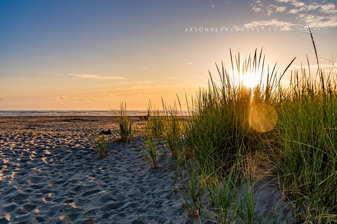 Grayland Beach Dune Grass at Sunset