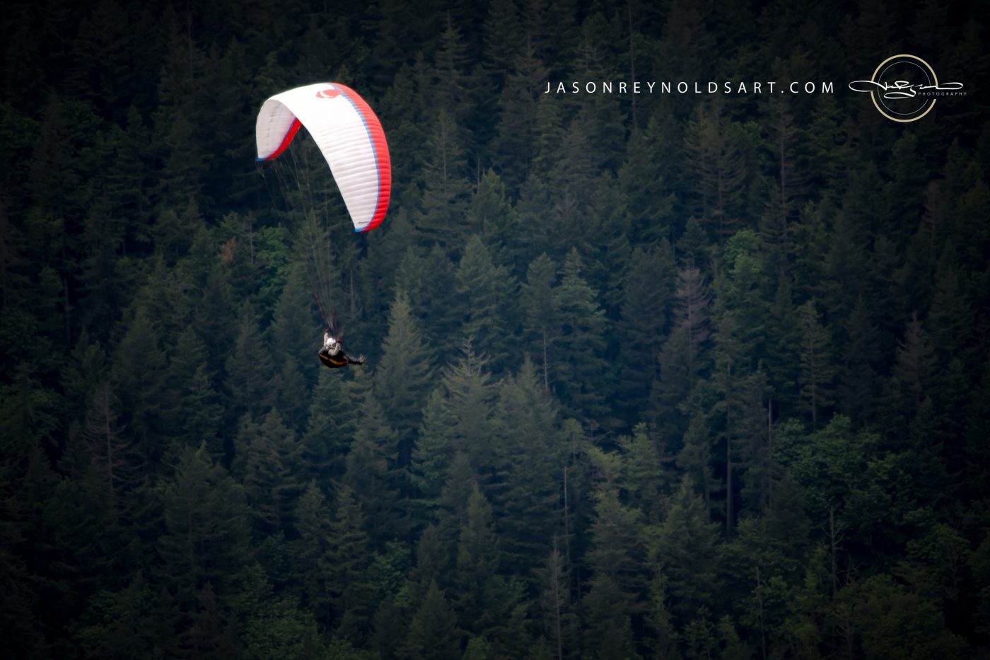 Issaquah Paraglider Over Evergreen Forest