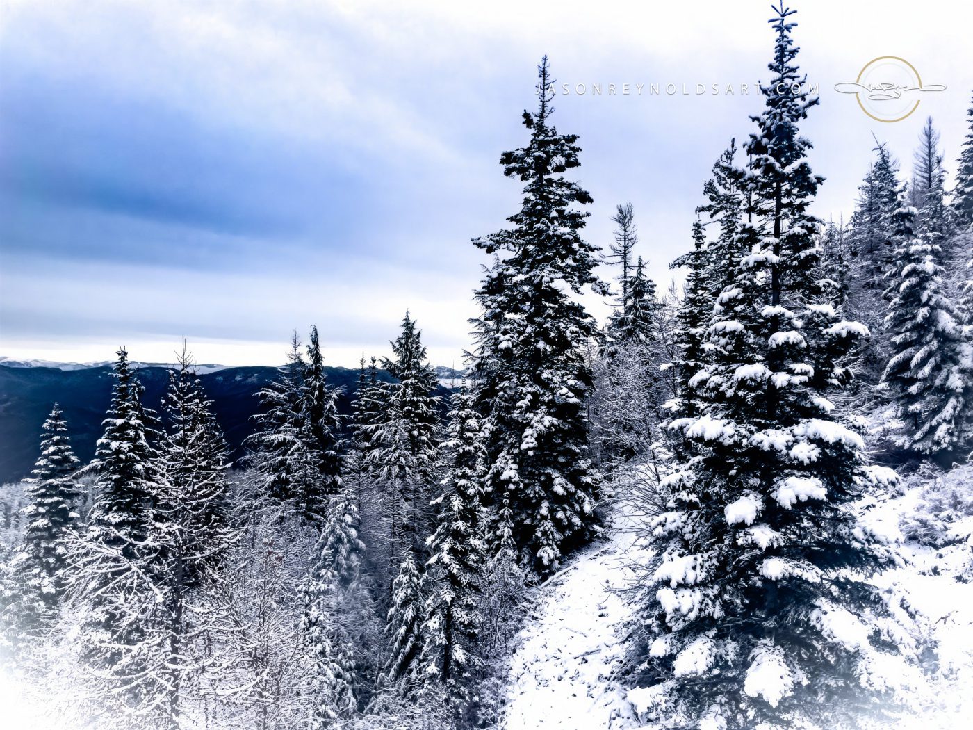 Kellogg Snow-Covered Fir Ridge