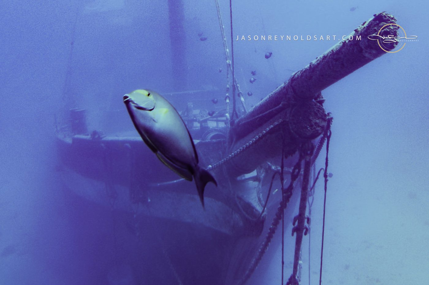 Lahaina — Carthaginian II Shipwreck Bow with Tropical Fish