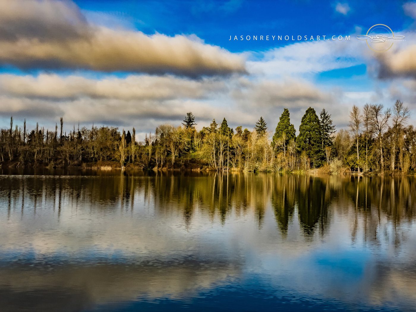 Lakewood Shoreline Reflection