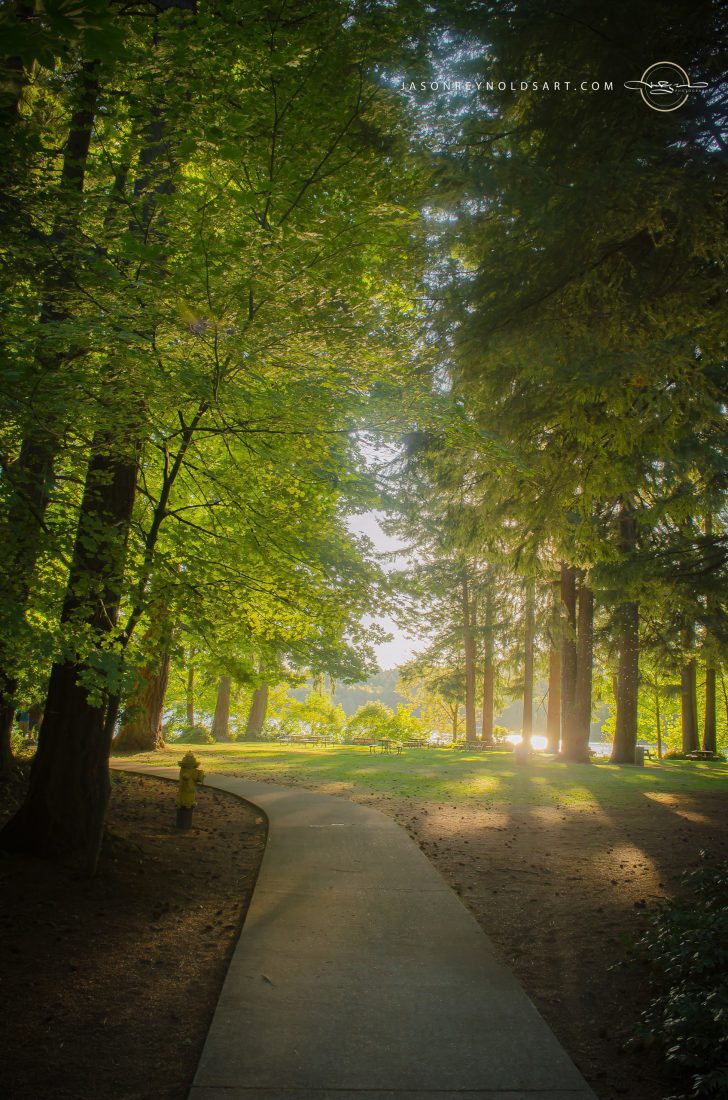 Olympia — Sunlit Park Path to Black Lake