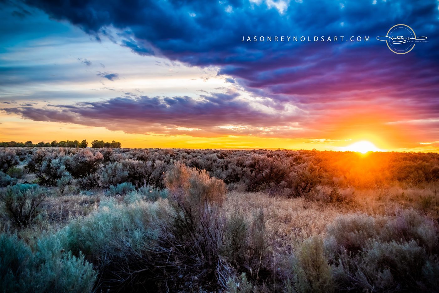 Othello Sunset — Sagebrush at Potholes State Park