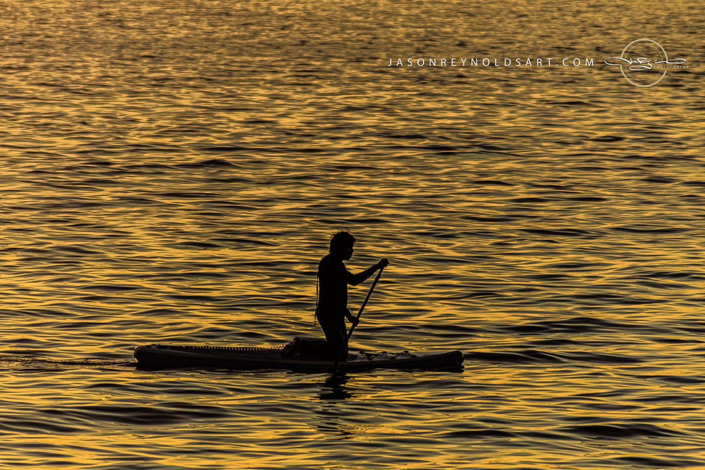 Paddleboard Silhouette on Gold Water — Federal Way