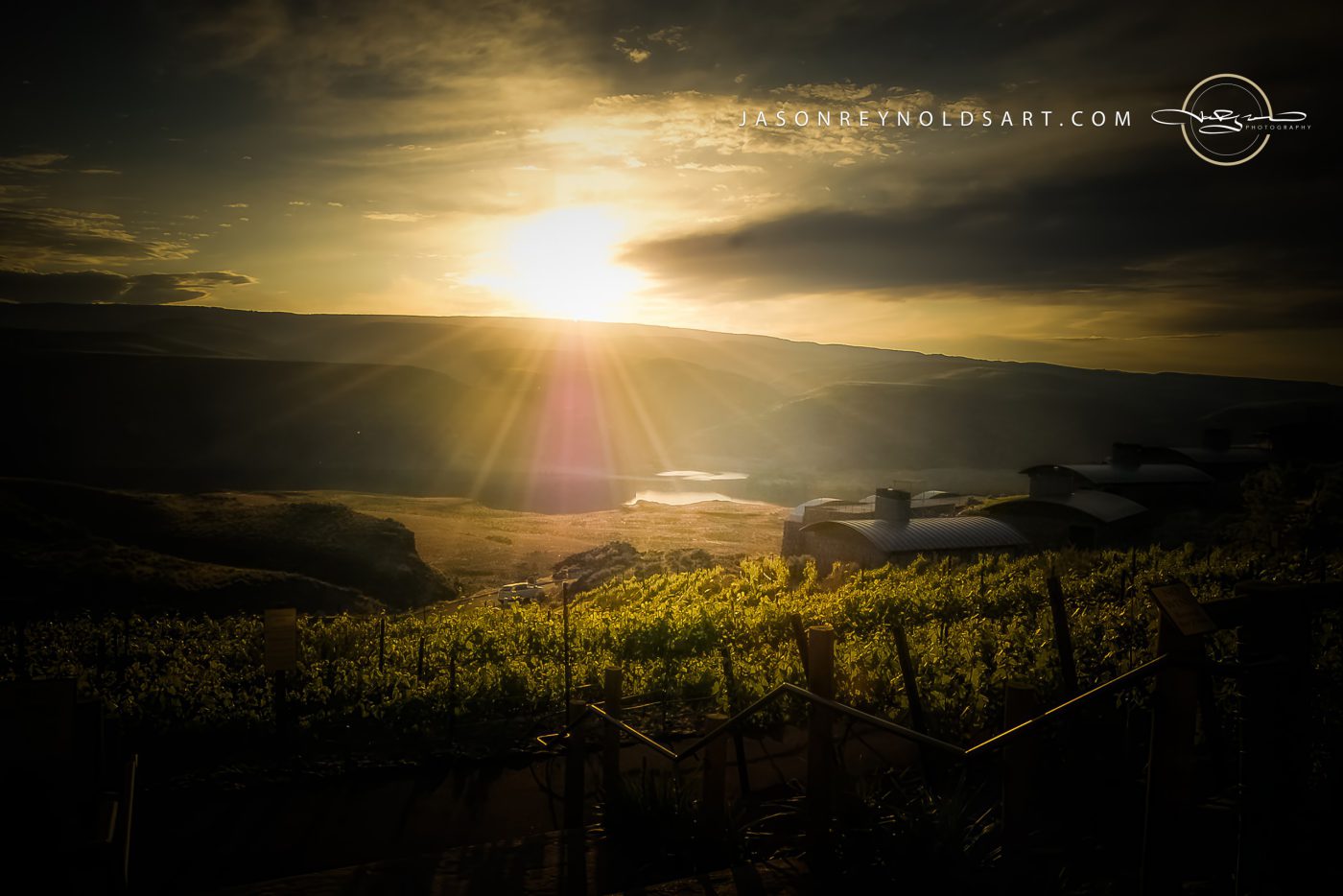 Quincy Vineyard at Cave B Estate Winery — Golden Sun over the Gorge