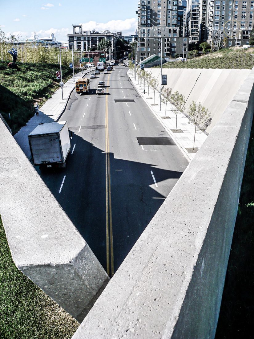 Seattle V-Frame Overpass at Sculpture Park