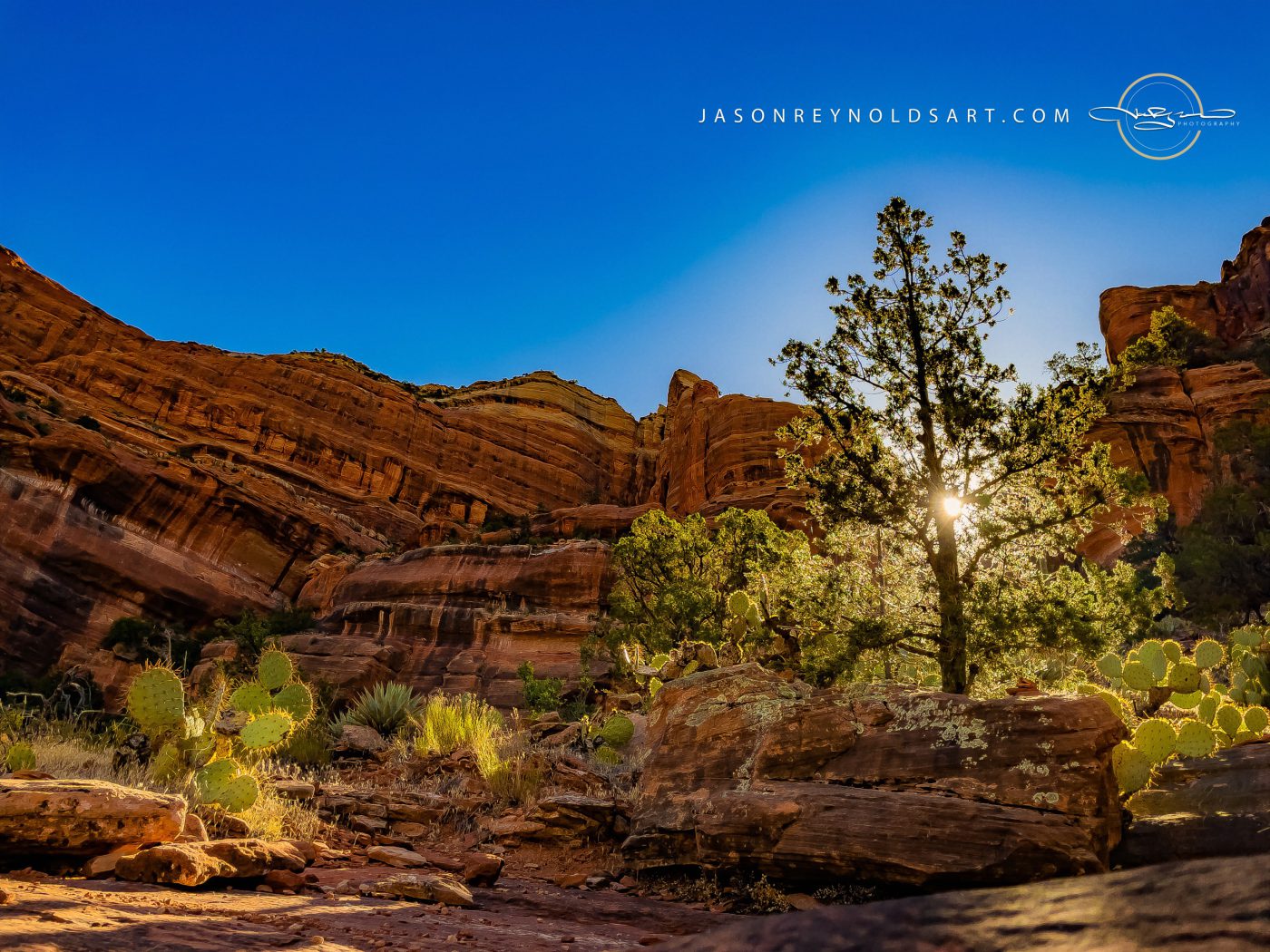 Sedona Sunburst Through Juniper and Prickly Pear