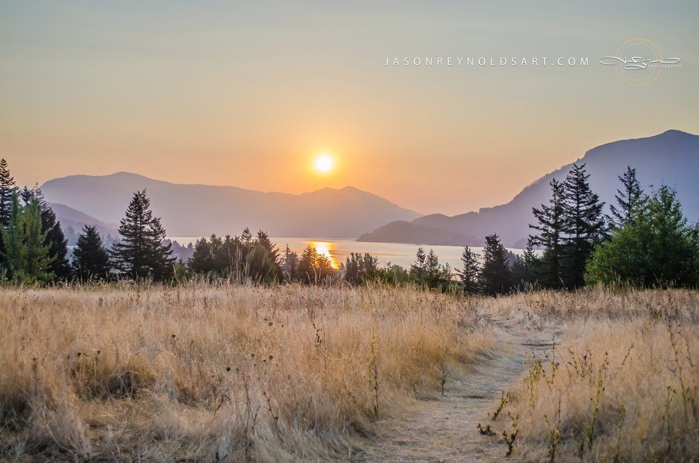 Skamania Sunset Over Golden Meadow