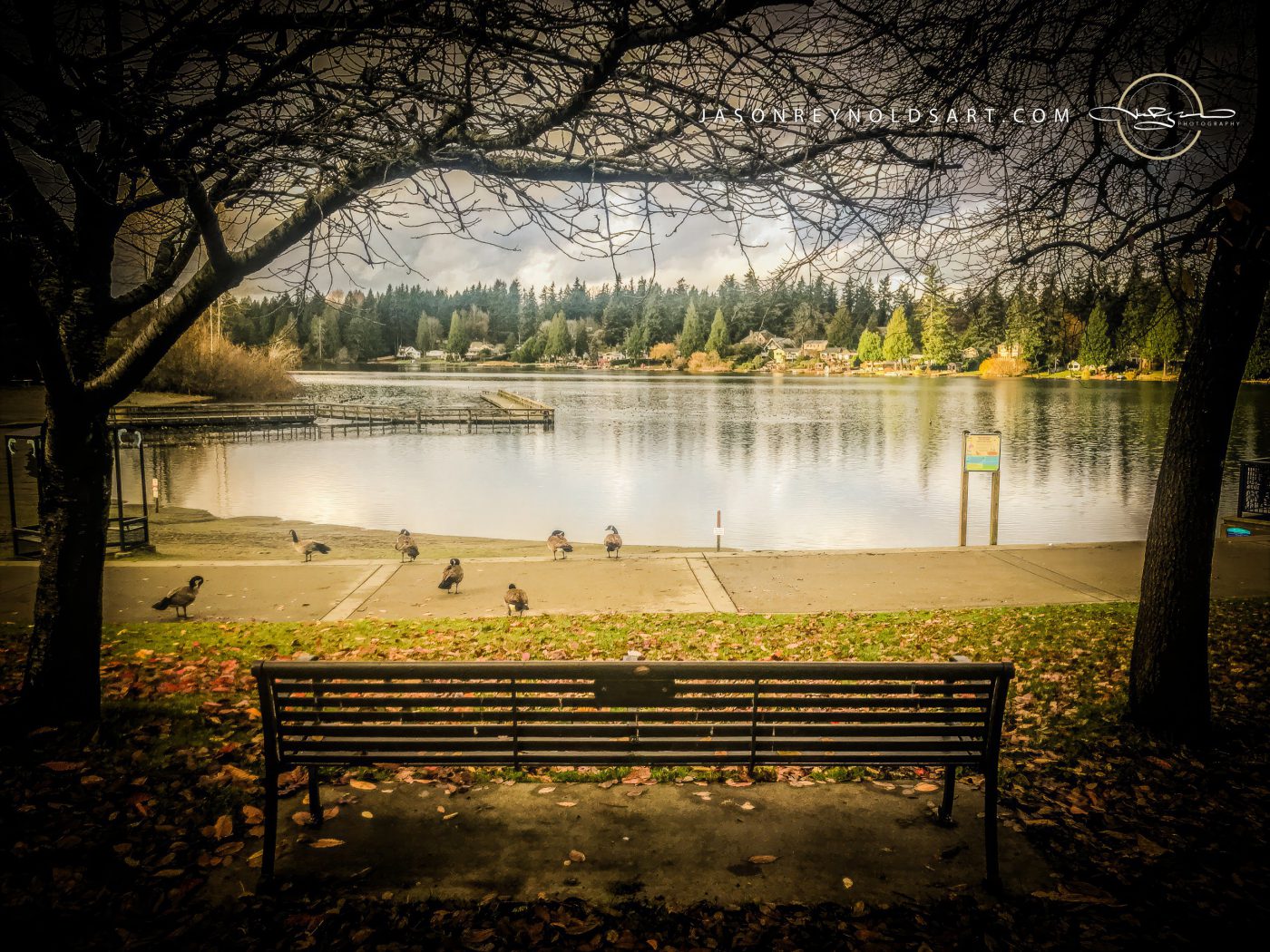 Steel Lake Park Bench Overlook