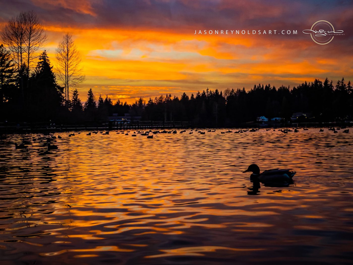 Steel Lake Sunset — Federal Way