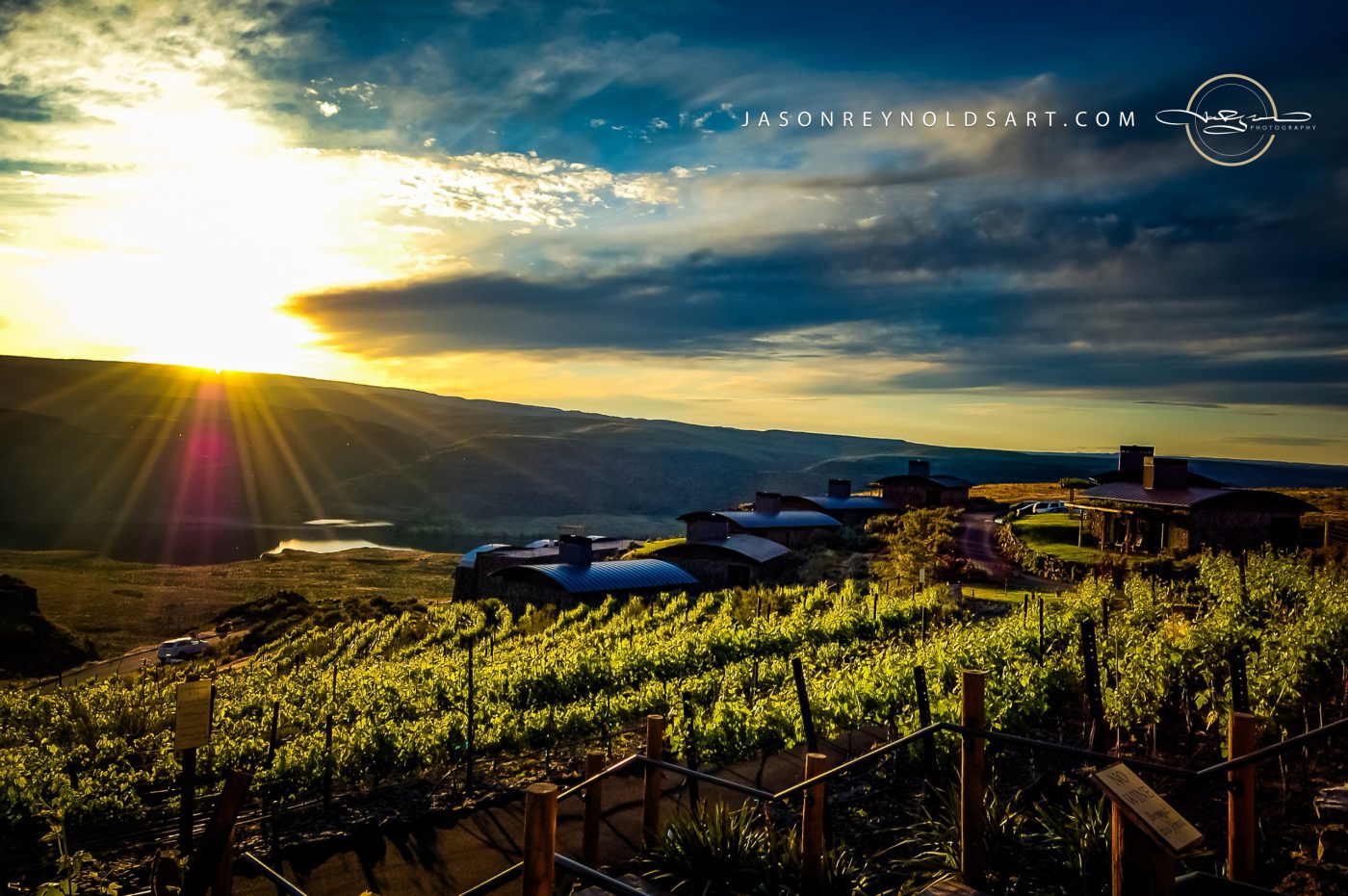 Sunburst Over Quincy Vineyard at Cave B Estate Winery