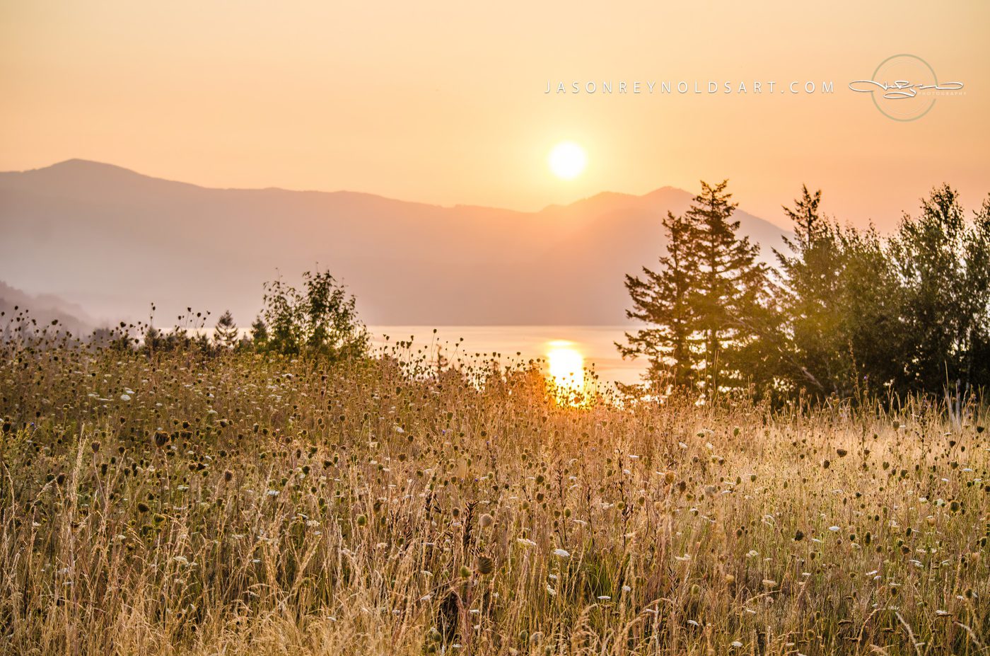 Sunrise Over Skamania Meadow