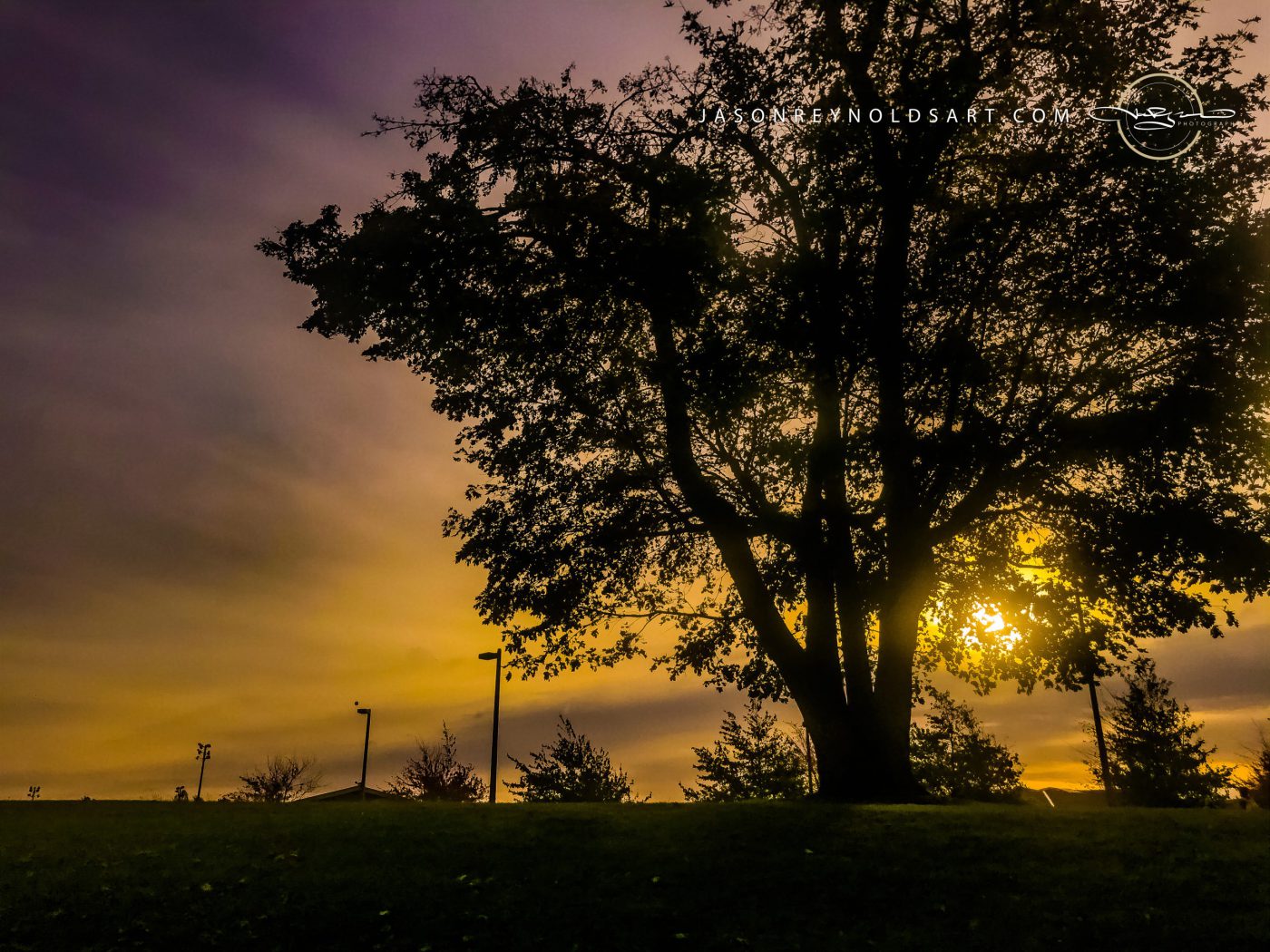 Sunset Silhouette — Federal Way