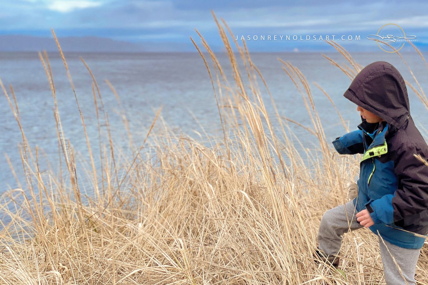 Tacoma: Child Exploring Ruston Shore Grasses