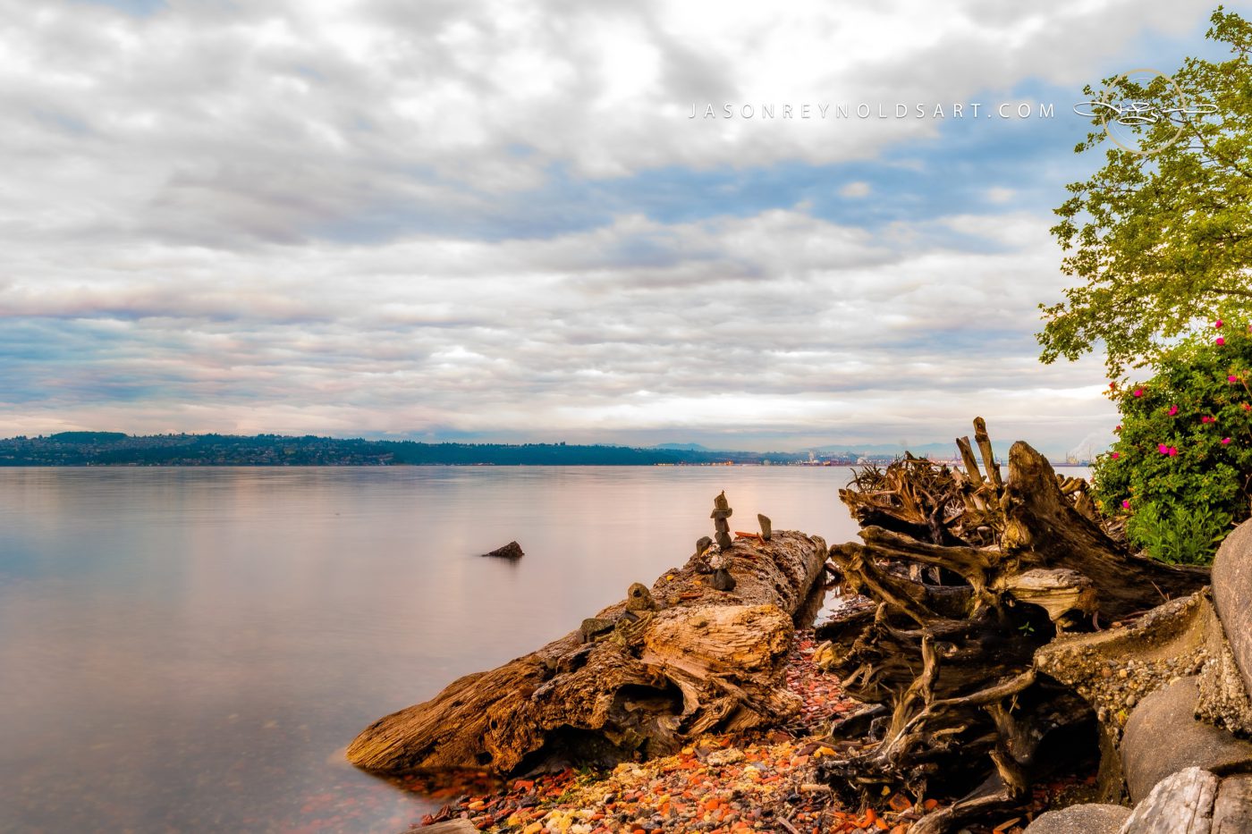 Tacoma Driftwood Shoreline at Ruston
