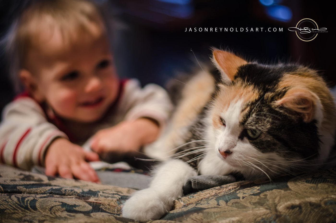 Toddler and Calico Cat on Cushioned Sofa