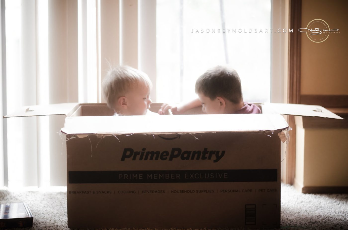 Two children playing in a cardboard box by a sunlit sliding door