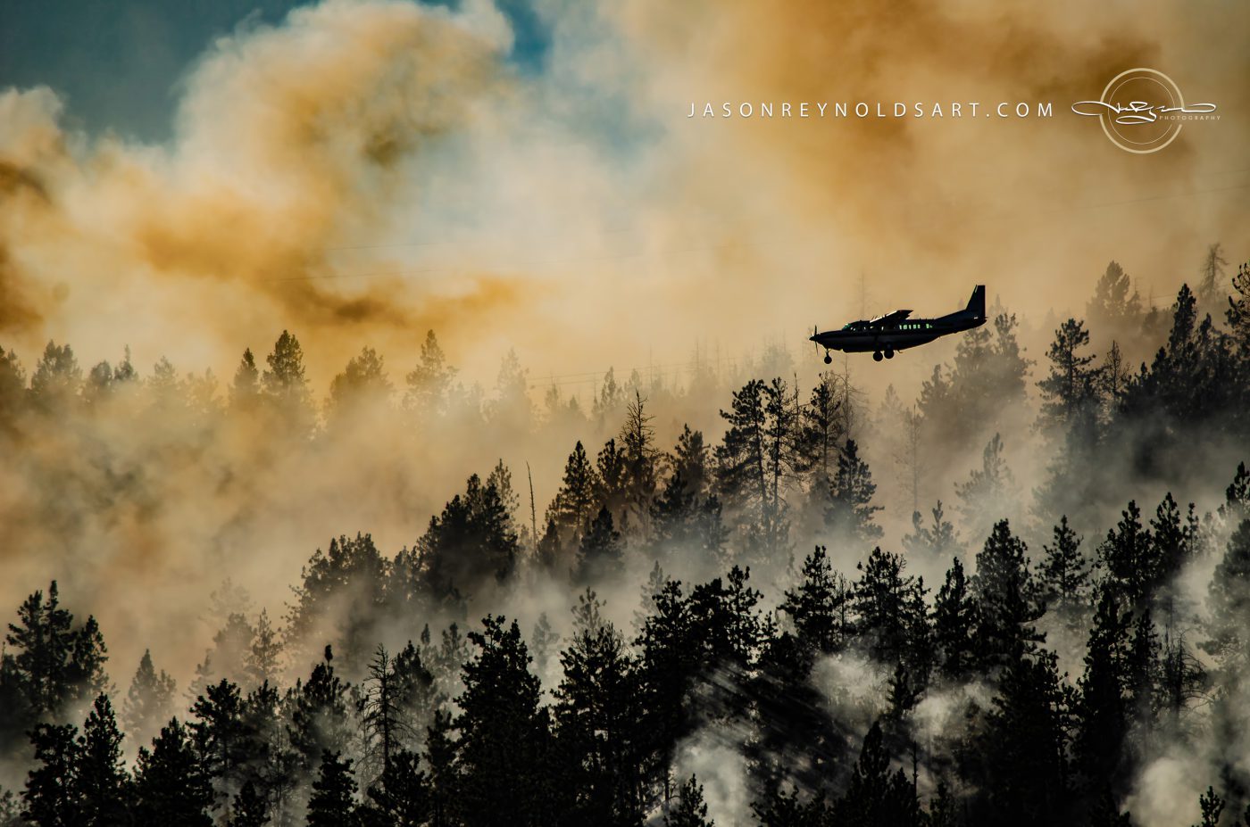 Utility aircraft over smoke-filled pine forest