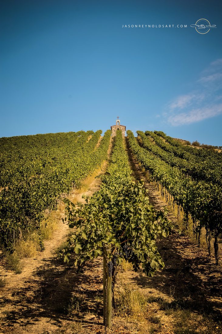 Wapato — Red Willow Vineyard Rows to Hilltop Chapel