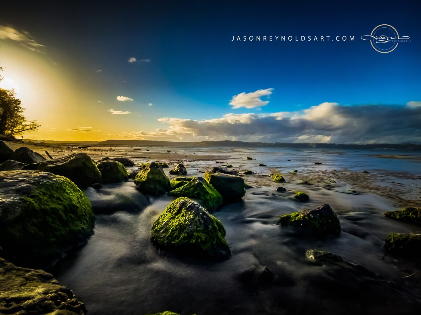 Washington Coast — Moss-Covered Rocks at Low Tide