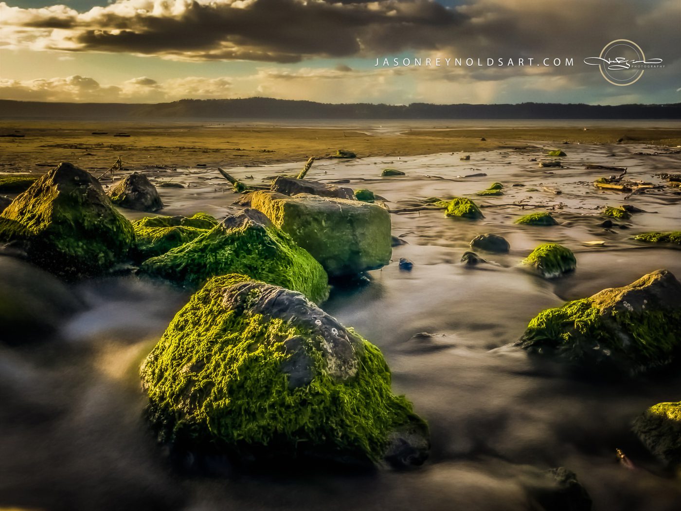 Washington Shoreline — Moss-Covered Rocks and Tidal Flats